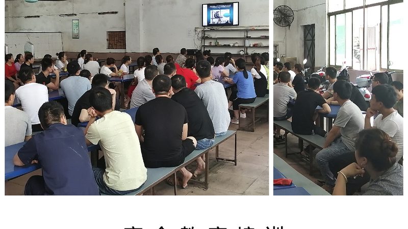 教师资格证培训课程，揭秘其背后的分阶段奥秘